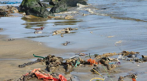 Derrame de Repsol: ¿qué dice la Corte Suprema sobre los delitos ambientales?