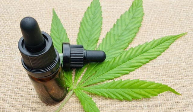 Publican ley para uso del cannabis medicinal