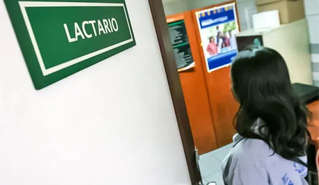 Se implementarán lactarios en instituciones del sector público y privado Se implementarán lactarios en instituciones del sector público y privado