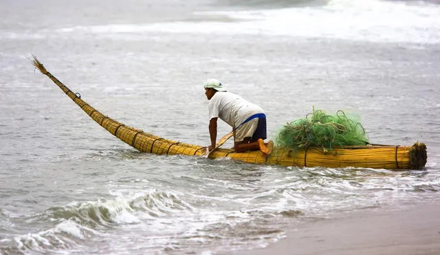 El caballito de totora es una embarcación milenaria de la cultura Moche