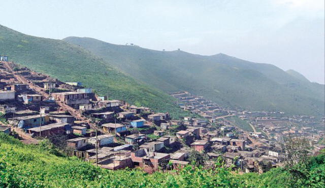 Las Lomas Costeras se encuentran en peligro por la falta de planificación urbana en Lima Las Lomas Costeras se encuentran en peligro por la falta de planificación urbana en Lima