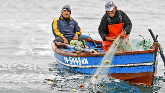 Sector pesquero fue afectado por la pandemia de la COVID-19 Sector pesquero fue afectado por la pandemia de la COVID-19