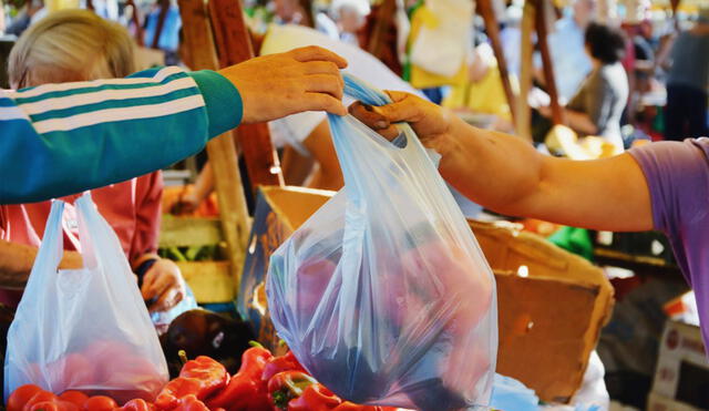 Se publicó el reglamento técnico sobre bolsas de plástico biodegradables