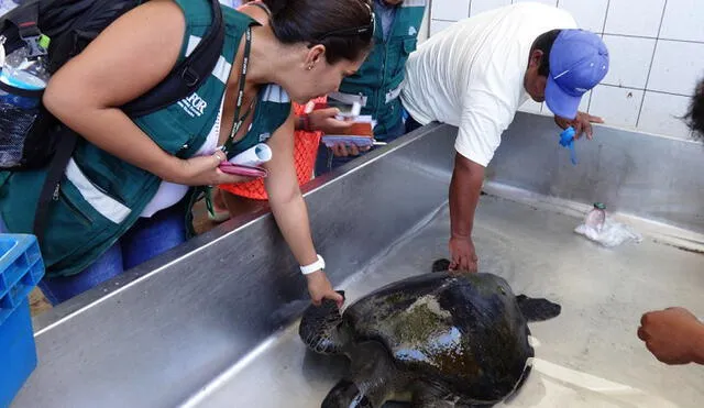 Las nuevas disposiciones buscan fortalecer la articulación a nivel interinstitucional a fin de combatir el comercio de fauna silvestre de origen ilegal en la región de Tacna Las nuevas disposiciones buscan fortalecer la articulación a nivel interinstitucional a fin de combatir el comercio de fauna silvestre de origen ilegal en la región de Tacna