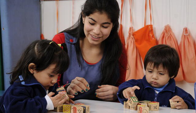 Los auxiliares participarán en la formulación y ejecución del proyecto educativo. Los auxiliares participarán en la formulación y ejecución del proyecto educativo.