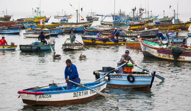 Pescadores artesanales recibirán un apoyo económico del Estados tras el derrame de petróleo.