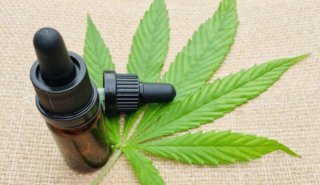 En Lima existen más de 10 establecimientos farmacéuticos con licencia para comercializar delivados del cannabis para su uso medicinal En Lima existen más de 10 establecimientos farmacéuticos con licencia para comercializar delivados del cannabis para su uso medicinal