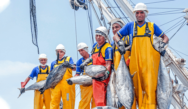 Aquellos trabajadores que trabajan en pesca también reciben beneficios sociales.