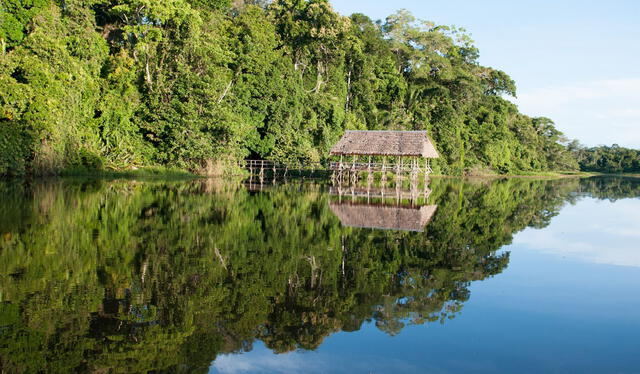 <em>Reserva Comunal Amarakaeri en Madre de Dios. Foto: Andina</em> <em>Reserva Comunal Amarakaeri en Madre de Dios. Foto: Andina</em>